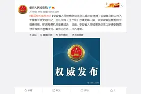 安徽检方决定逮捕马鞍山市人大常委会原主任从辉图片