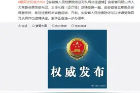 安徽检方决定逮捕马鞍山市人大常委会原主任从辉图片