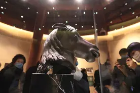 马首回归圆明园背后，“十二生肖”的追索之路图片