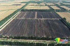 山东科技大学——科技转化实现蝶变新生图片