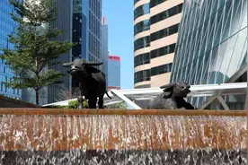 新华财经｜港交所成立可持续及绿色交易所STAGE图片