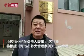 山东青岛禁养宠物小区物业回应：将按相关条例进行管理