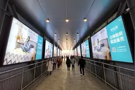 没有“壳”的年轻人图片