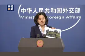我可以，你不可以，凭什么？图片