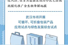 武汉出台最严禁塑令图片