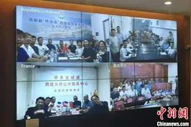 侨乡青田打造“华侨经济文化之窗”引“侨元素”回归图片