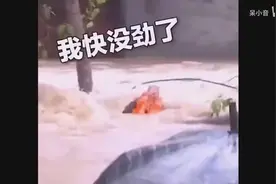 100%眼泪收割，看到第几个你哭了……图片