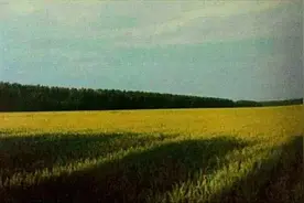 【重点建设项目巡礼】柏各庄农场图片