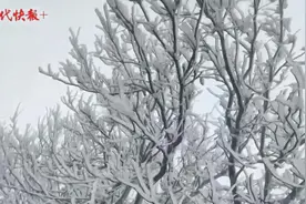 花果山下雪了，银装素裹美成童话图片