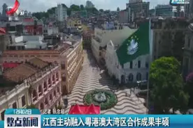 江西主动融入粤港澳大湾区合作成果丰硕视频封面