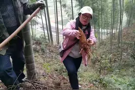 鲜嫩冬笋上新啦！点点手机，杭州这个地方的冬笋就能送上你的餐桌图片