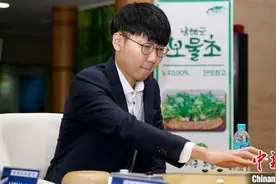 韩国围棋界“朴申七番棋”落幕 申真谞完胜图片