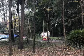 成都市都江堰七旬老太遭家养土狗咬死 村民：老人生前与狗相处融洽，喂狗时发生意外图片