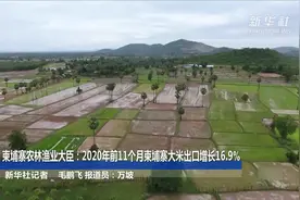 柬埔寨农林渔业大臣：2020年前11个月柬埔寨大米出口增长16.9%视频封面