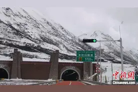 最高限速上调至110公里每小时 西藏调整优化15条国省公路限速值图片