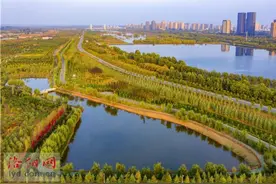 伊河游园李楼湿地：水清景美 生态惠民图片