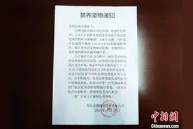 小区禁养宠物，能解决不文明养犬难题吗｜长城评论图片