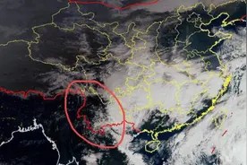 锋还是风图片