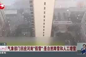 气象部门回应河南“假雪”：是自然降雪和人工增雪视频封面