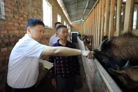 致力扶贫的“牧羊倌”当选2020年全国劳动模范图片