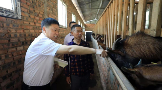 致力扶贫的“牧羊倌”当选2020年全国劳动模范