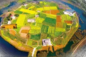 正在“活”起来的文化遗址——常德澧县城头山图片