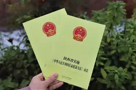 家庭暴力≠家务事，向家暴说“NO”图片