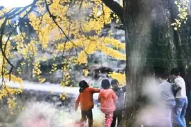 感悟恩情，需要我们用一生倾力报答图片