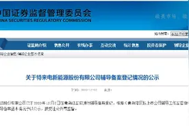 “独角兽”特来电上市辅导已备案，系特锐德子公司，充电终端规模及市场占有率全国第一图片