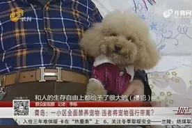 一刀切？青岛一小区贴通知要求全面禁养宠物,有居民怒斥:不可理喻