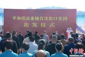 “世界柚乡”福建平和琯溪蜜柚首发美国市场图片