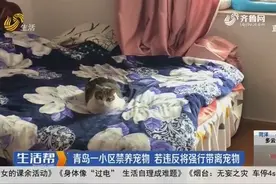 青岛一小区全面禁养宠物，若违反强行带离，物业：按相关条例管理