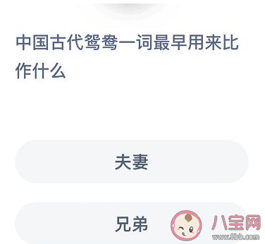 符可以组什么词（在古代鸳鸯一词最早用来比作 蚂蚁庄园12月4日答案今日答案最新）