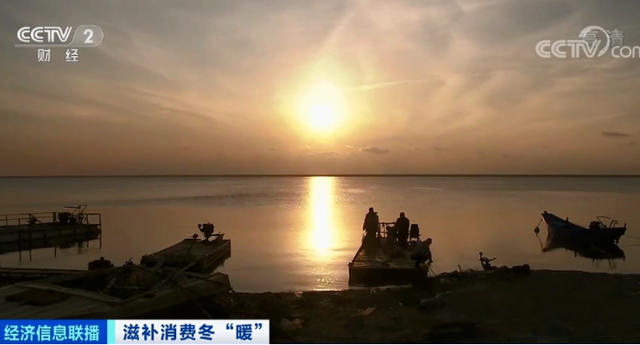 花胶贵海参贵 2026年花胶海参哪个好