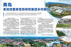 青岛 系统性整体性协同性推进乡村振兴图片