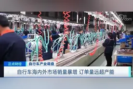 自行车又卖疯了！出口额创25年纪录！疫情之下，百年行业凤凰涅槃？图片