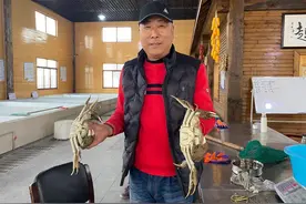 鲜、甜、香、油！个个都是大长腿的浦东大闸蟹，原来是这样养成的图片