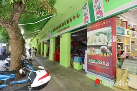 广东湛江：乾塘镇连续六个全市“第一”之奥秘图片