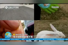 兔子咬伤多名儿童！南京金牛湖野生动物王国致歉，涉事园区正整改视频封面