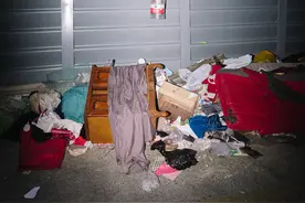 沪上一日｜一株梅花将在这个冬天死去图片