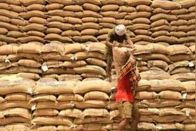 印度“打折”向中国出口大米图片