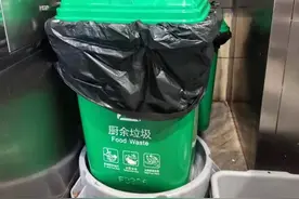 专桶运送or集中分类，餐馆厨余垃圾这样处理了｜直击深圳垃圾分类现场③图片