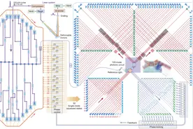 里程碑式突破！中国量子计算原型机“九章”问世，实现“量子霸权”图片