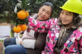 跨越千里，“橙”意十足——莎蔓莉莎助力湘西保靖脱贫攻坚战图片