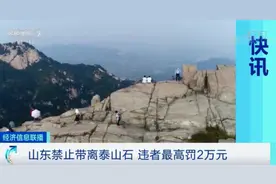 新规！拿走泰山石，最高罚2万图片