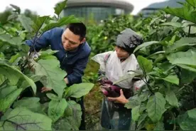 心疼……“公主殿下，请饶恕臣又不辞而别”图片