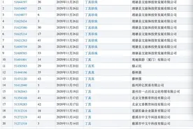 有人抢注？丁真东家出手：一口气申请26类商品的商标图片