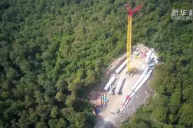 疫情下，中国建设者们在海外进击图片