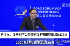 中国财富报道|胡恒松：注册制下公司债券发行规模同比增加36%视频封面