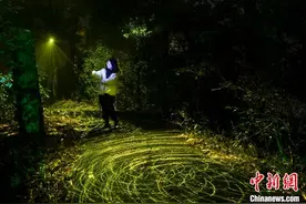长沙光绘森林“萤火虫”仿入梦幻世界图片